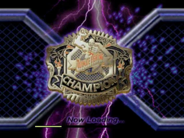 Ultimate Fighting Championship