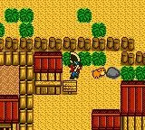 Harvest Moon GB (GB)