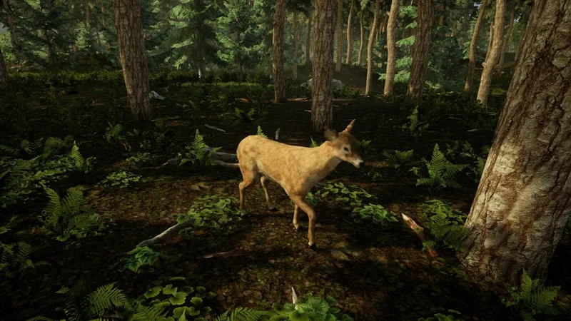 Animal Doctor (PS4)