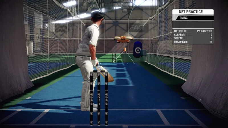 Don Bradman Cricket (PS4)