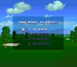 Major Title (SNES)